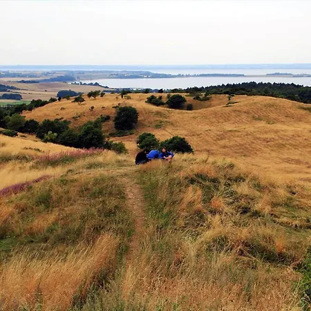 84272-knebel-lyravej-11 * Dejret